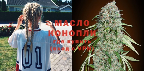 spice Гусев