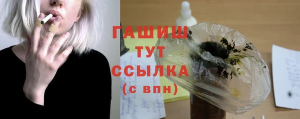spice Гусев