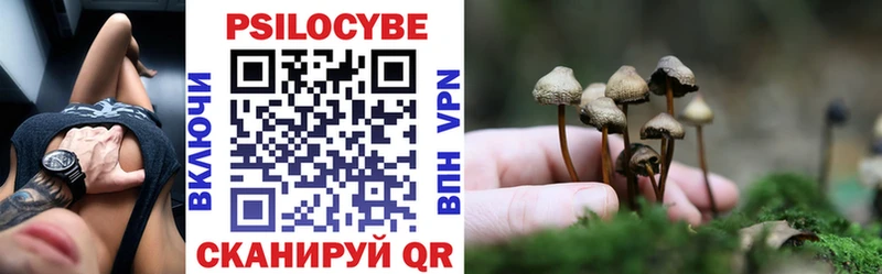 дарнет шоп Сковородино Псилоцибиновые грибы Cubensis
